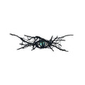 Eye Brooch