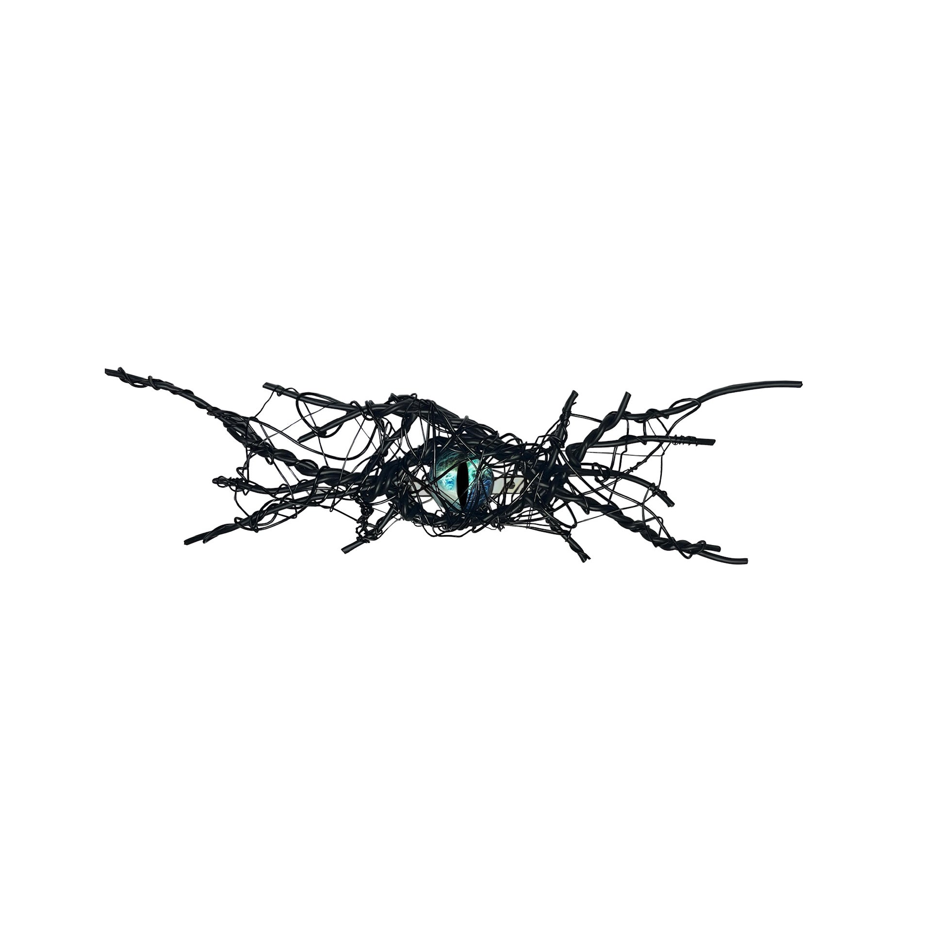Eye Brooch
