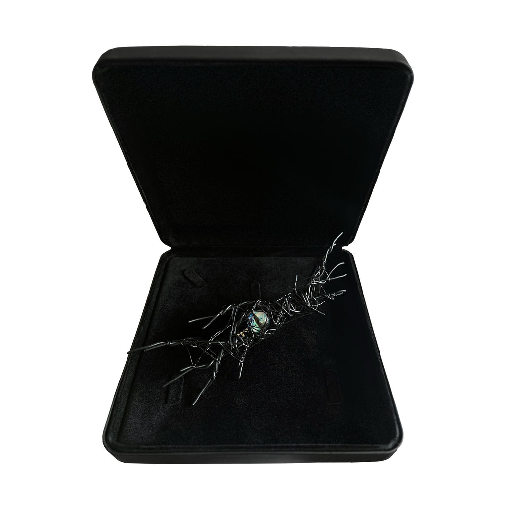 Eye Brooch