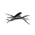Eye Brooch-Feather